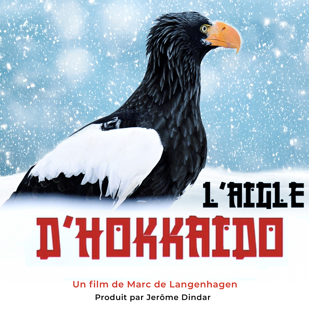 Cover Article